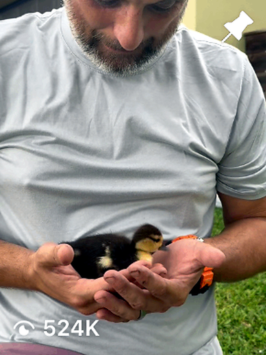 POV: Duck Dad status, unlocked