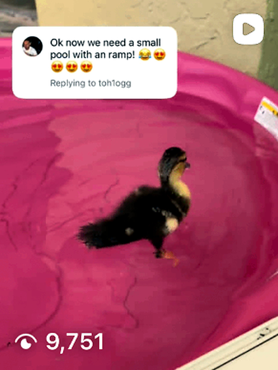 Small pool, with a ramp 🌸