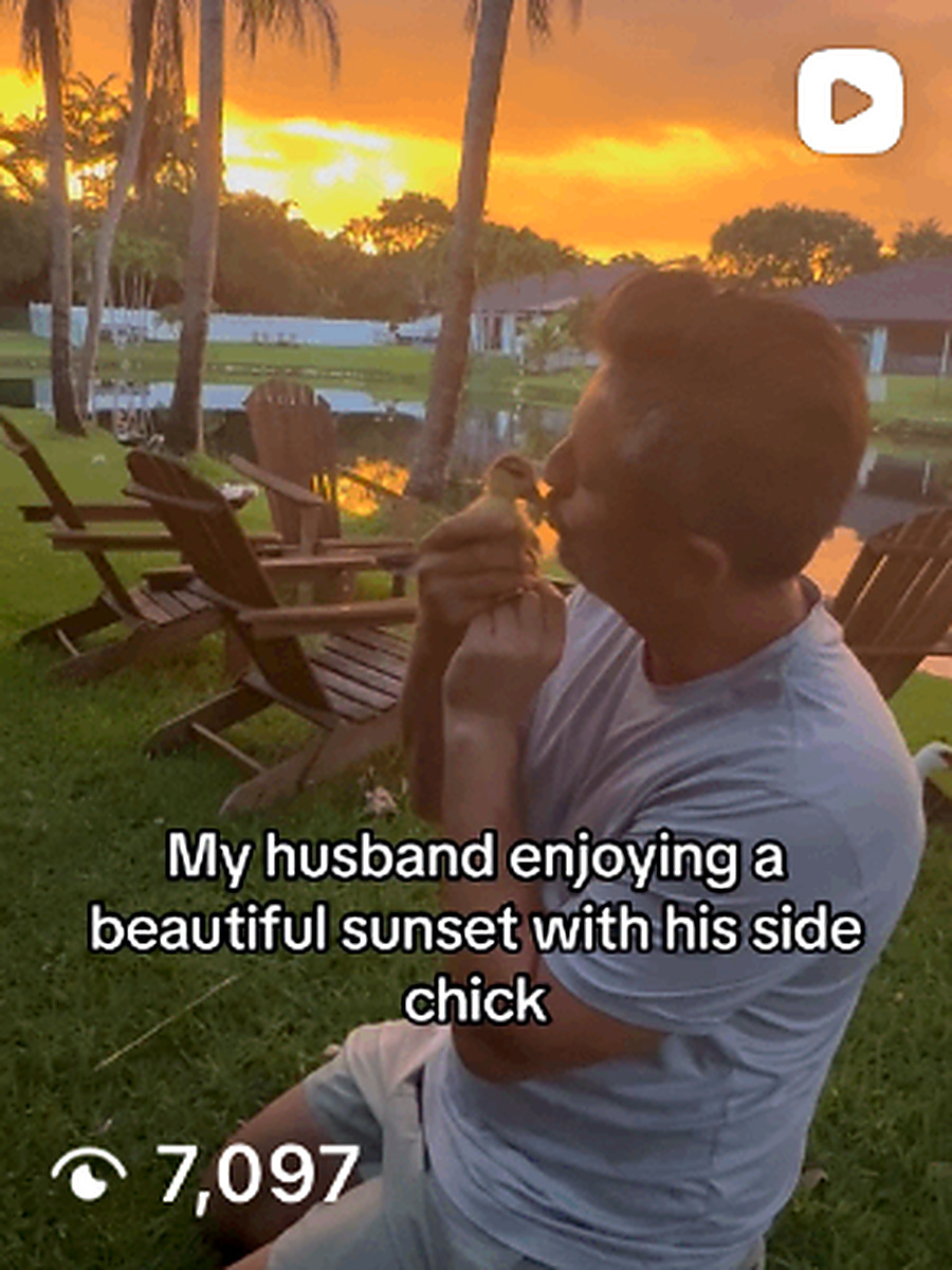Sunset with his side chick 🦆