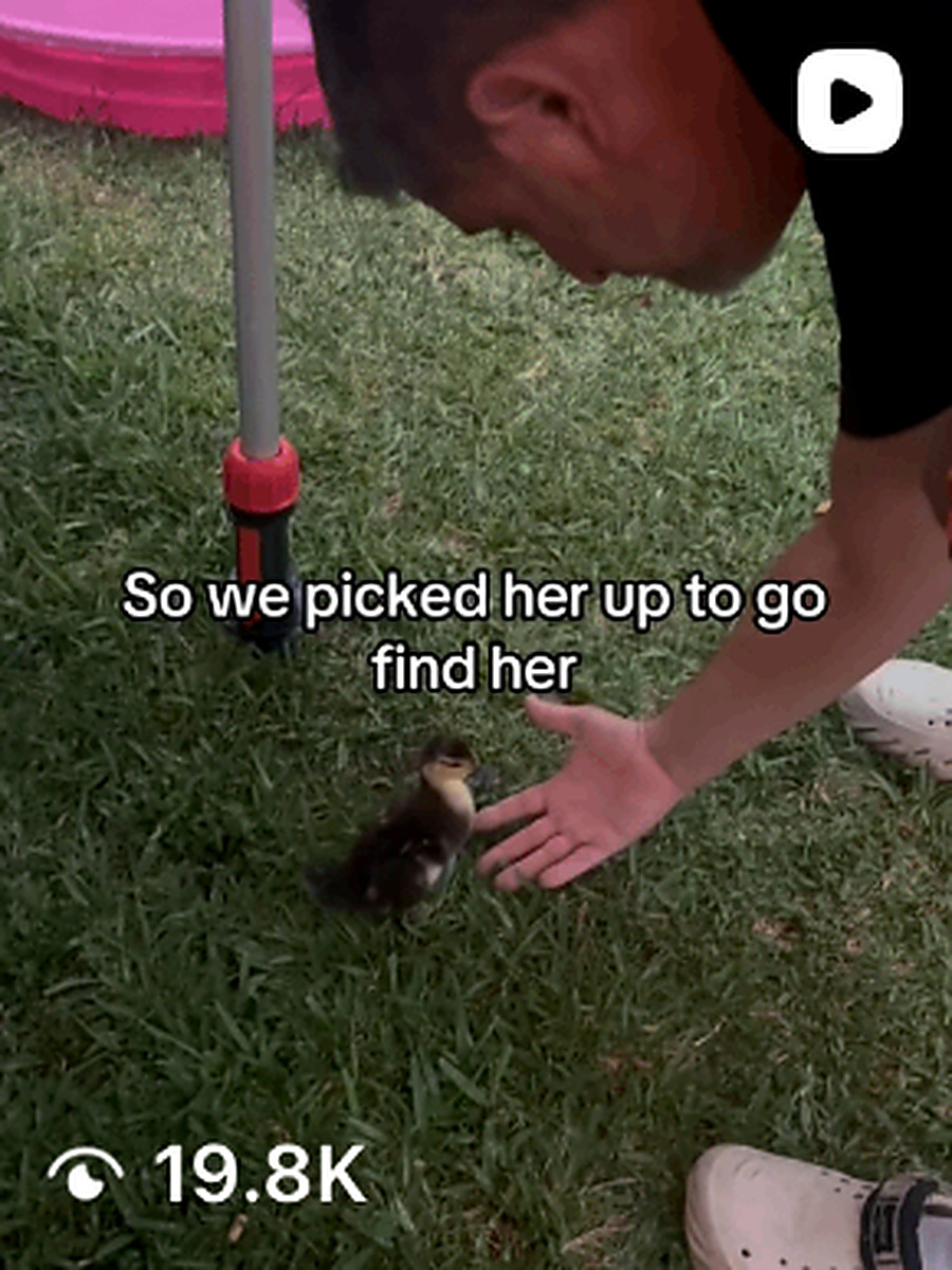 Ducky follow ups